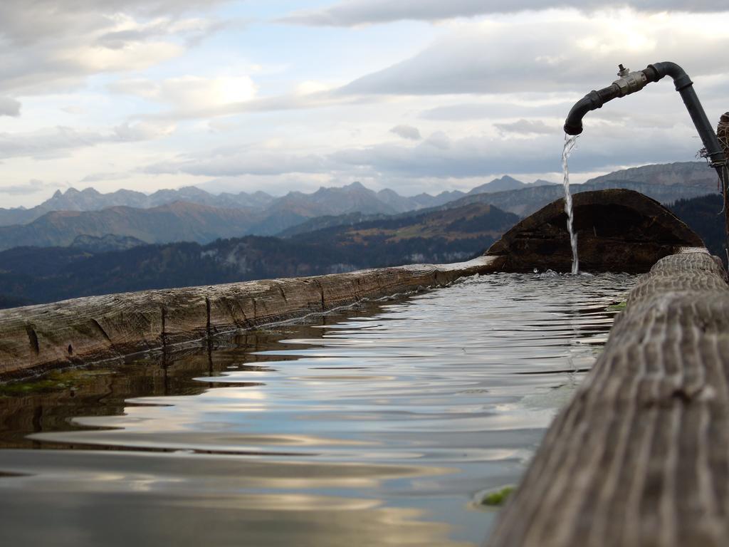 Siplinger Suites - Ferienwohnungen - Sauna Und Fitness Balderschwang Dış mekan fotoğraf